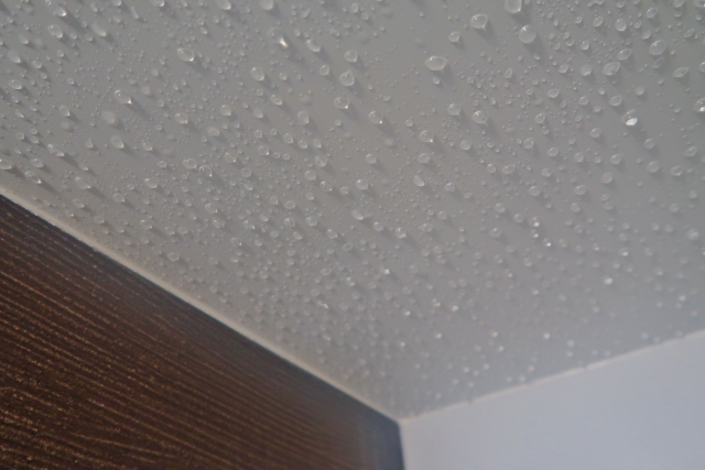 お風呂の天井の結露防止｜スプレーの効果的な選び方と正しい使い方